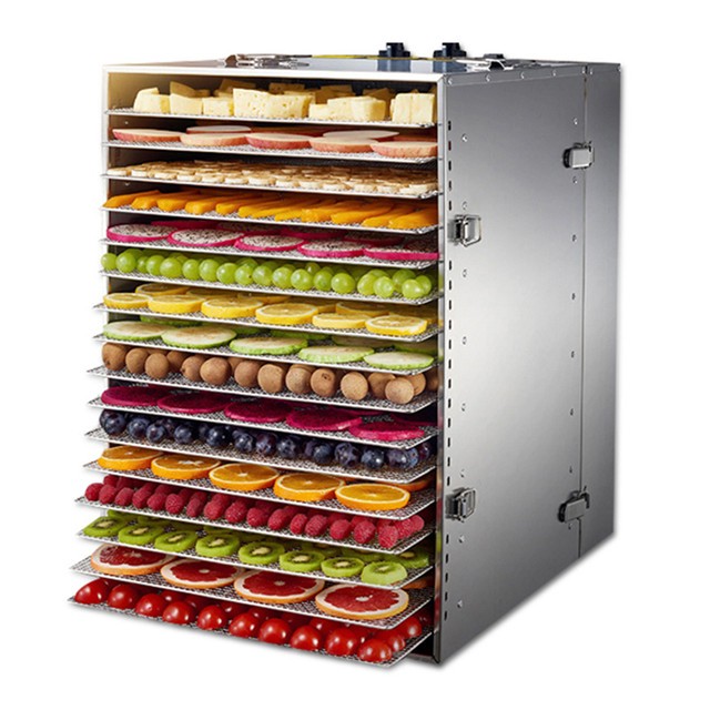 LT-F16 Model Home Use 16 Grids Small Fruit Food Dehydrator Machine